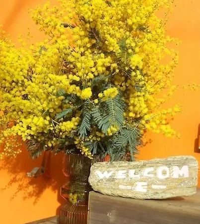 Maison De - Cote De Jade - Coup De Coeur 別荘 *