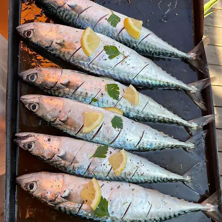 Maison De - Cote De Jade - Coup De Coeur