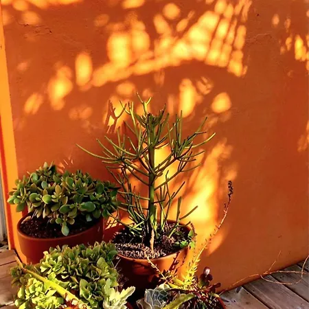 別荘 Maison De - Cote De Jade - Coup De Coeur *