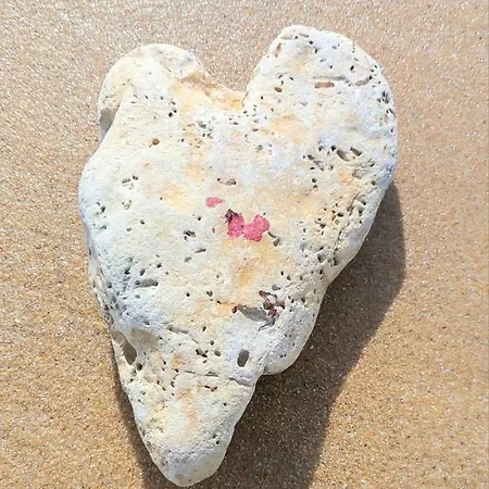 別荘 Maison De - Cote De Jade - Coup De Coeur ラ・プレンヌ・シュル・メール