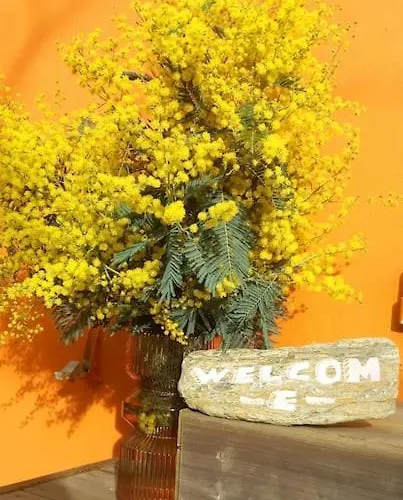 Maison De - Côte De Jade - Coup De Coeur Casa de Férias *