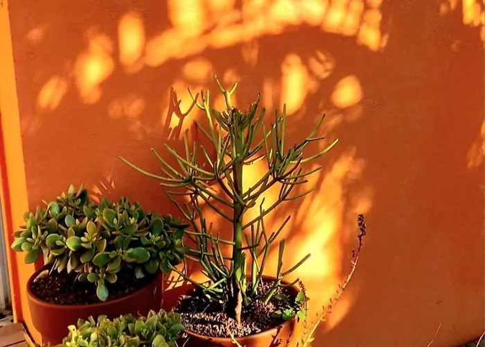 Casa de Férias Maison De - Côte De Jade - Coup De Coeur *