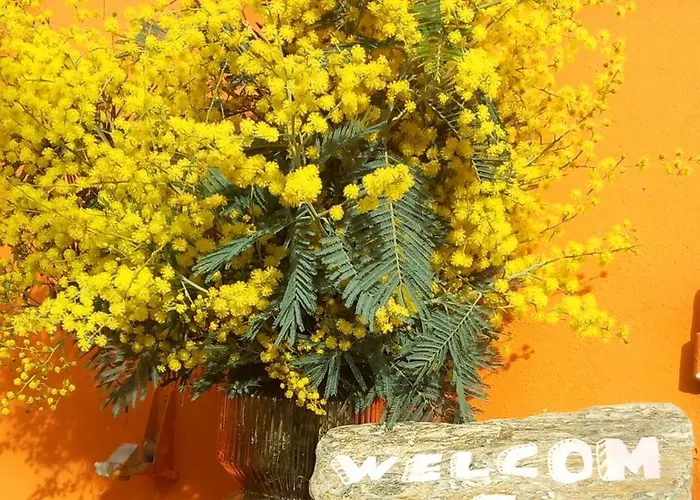 Maison De - Cote De Jade - Coup De Coeur